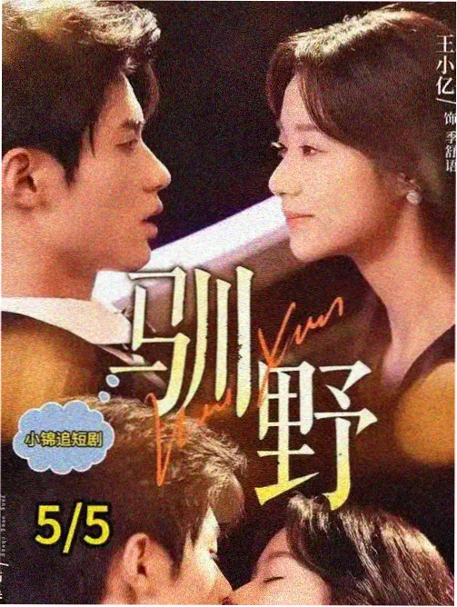冷门国产喜剧电影银河写手封面
